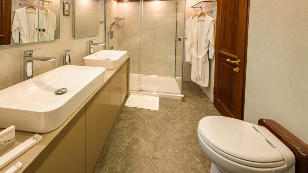 Spacious bathroom. Two sinks, shower cubicle, toilet and bath towels.