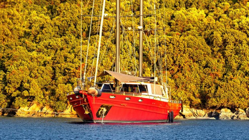Sailing Gulet is sailing on the sea in a destination with lush green trees.